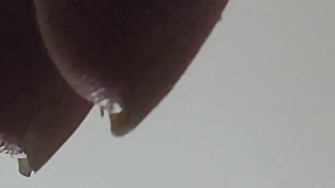 Zooming-in on random stuff 5