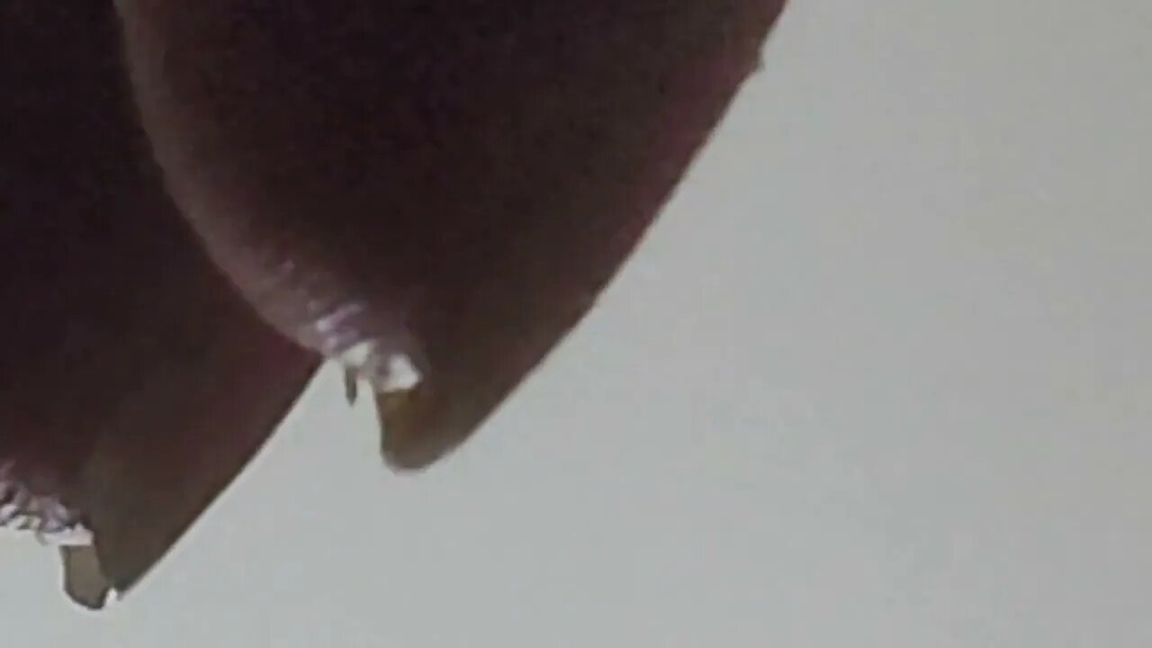 Zooming-in on random stuff 5