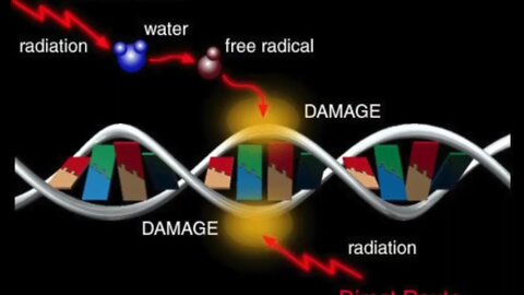 1652. Black GOO⚫ Vaccine DNA🧬Corruption☠