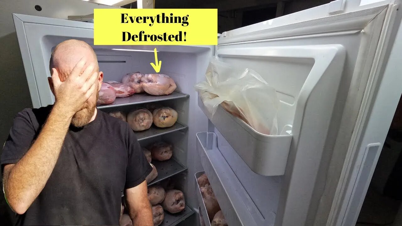 Our Freezer Defrosted!