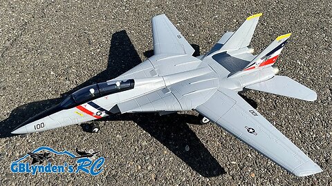 Maiden Flight Review | E-flite F-14 Tomcat Twin 40mm EDF Jet