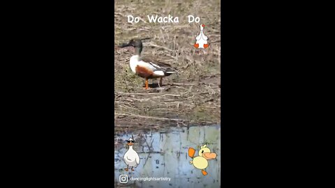 Do Wacka Do