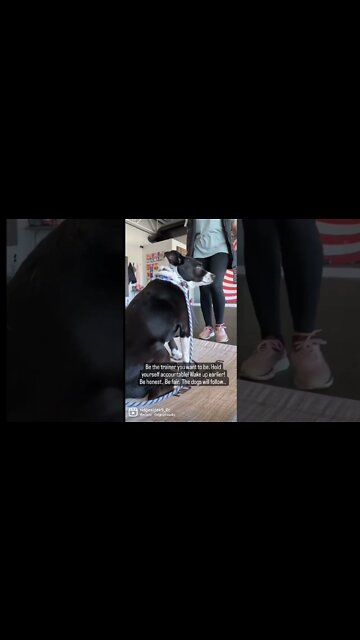 Be the person you want to be.... Self accountability. Progress over everything.