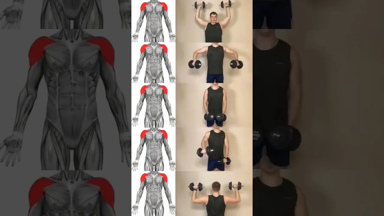 #bodybuilding