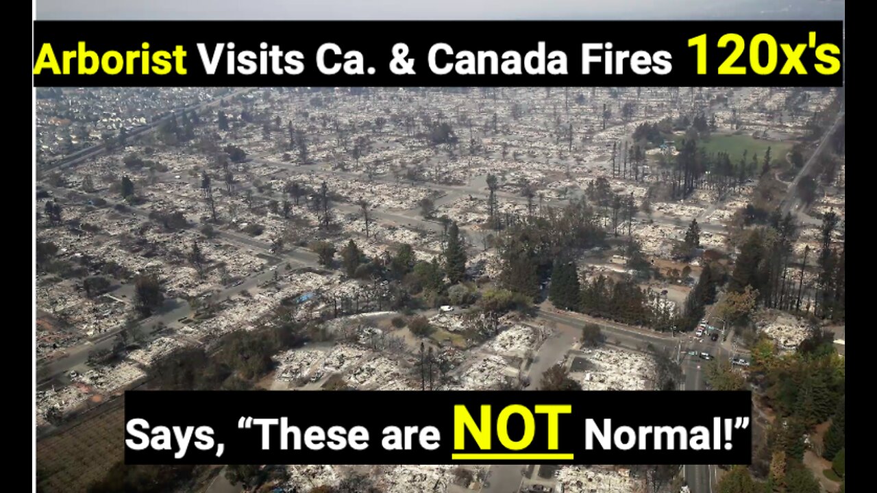 Arborist Visited US and Canada Fires 120x's Says, These are NOT Normal!