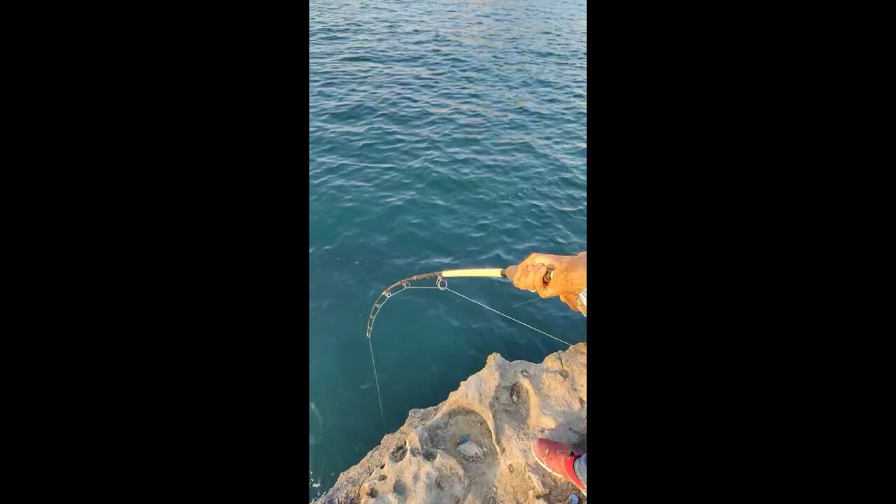 Fishing in mugsail