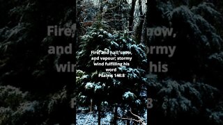 Psalms 148:8 #psalms #hisword #fire #hail #wind #storm #bible #bibleverse #christian #shorts