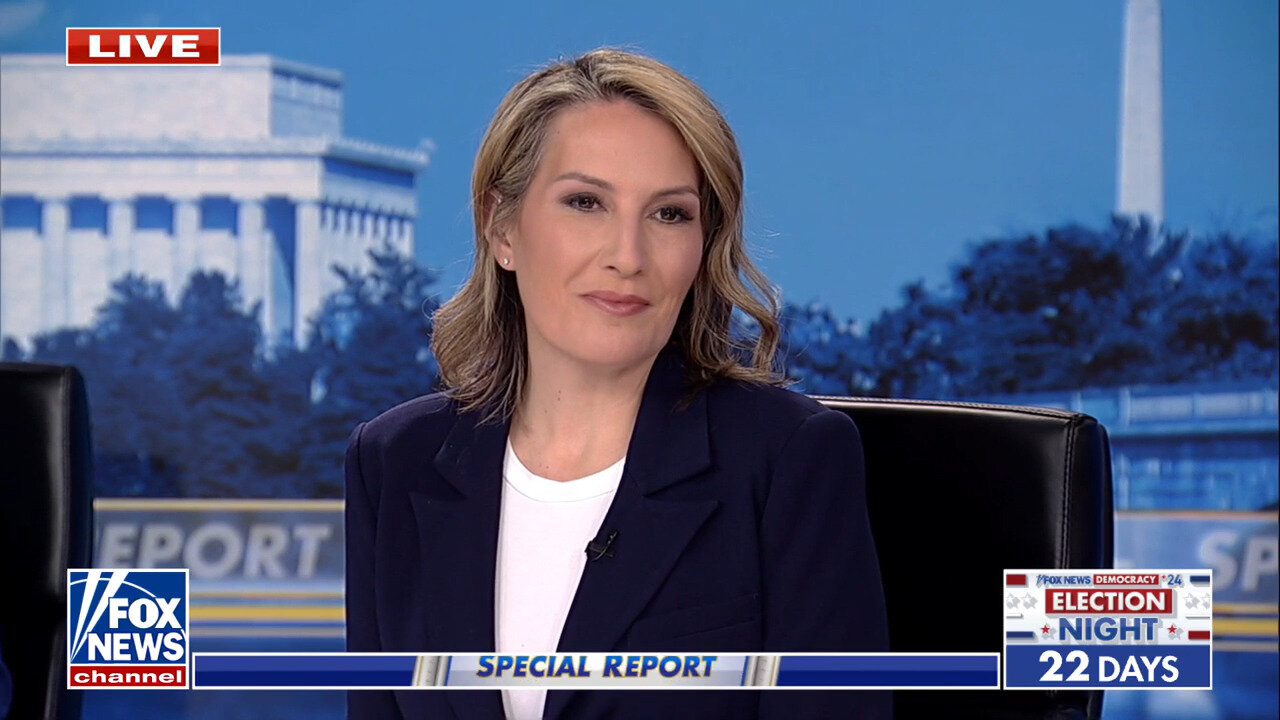 Democrat Hack Meghan Hays: The Momentum Is Still At Kamala Harris' Back