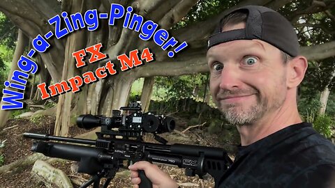 RangeVLOG - Winga-Ding-Pinga! - New Airgun “Kit”