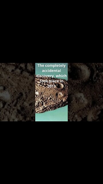 The oldest fossil in the world (3.5 billion years old) was found in Australia #shorts