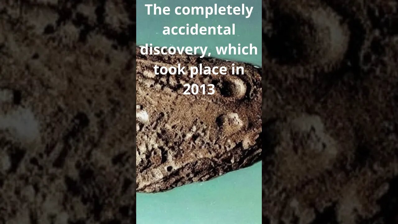 The oldest fossil in the world (3.5 billion years old) was found in Australia #shorts