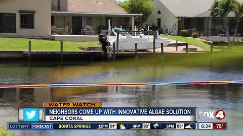 Residents deploy homemade 'boom' to keep algae sludge away