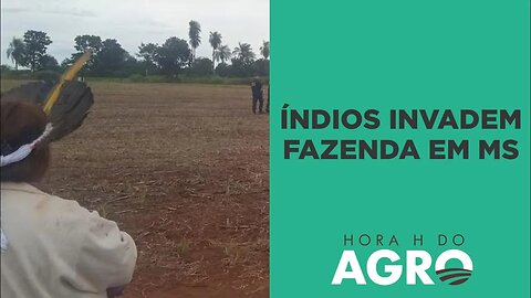 Fazenda em MS está invadida por indígenas; governador do estado indica solução | HORA H DO AGRO