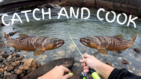 Rain or Shine: Epic Brown Trout Catch & Cook Adventure!!!