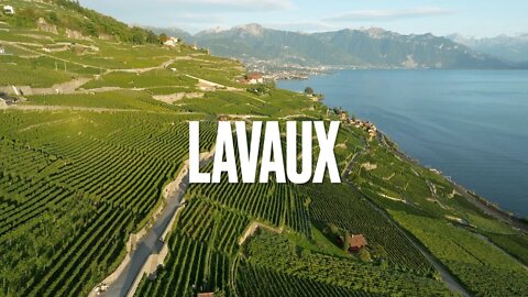 Above Vineyard Terraces Of Lavaux