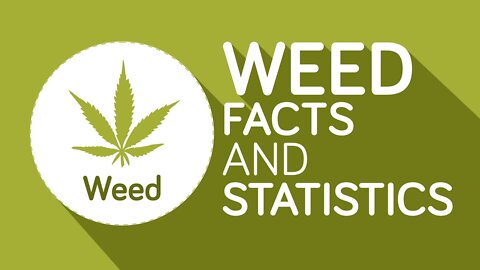 Weed- 12 Interesting Facts You Should Know