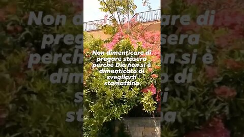 Non dimenticare di pregare #god #nature #viral #shorts