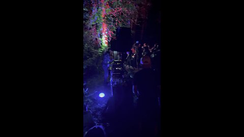 Drum and bass in the forest