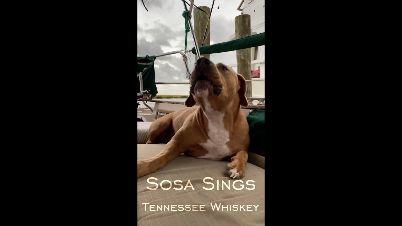 Sosa Sings Tennessee Whiskey