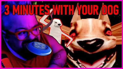 Feeling Like a Freak On A Leash... | 3 MINUTES WITH THE DOG