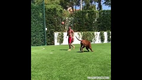 Messi dando chapéus em cachorro