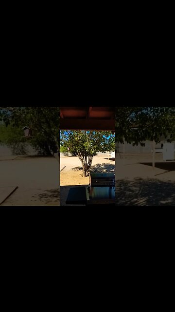 morning from my work