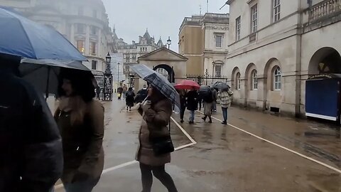 Kings guard scares the Tourists in the rain 🌧 #horseguardsparade