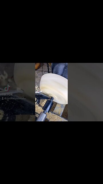 A tenon emerges #shorts