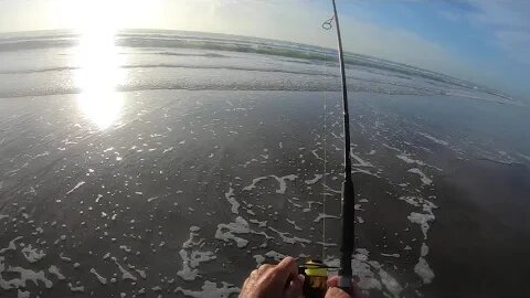 Tarpon on the beach part 1