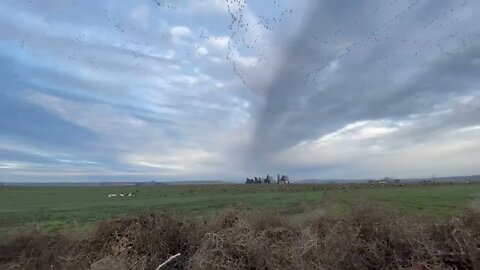 EPIC SNOW GOOSE HUNT!!!-7