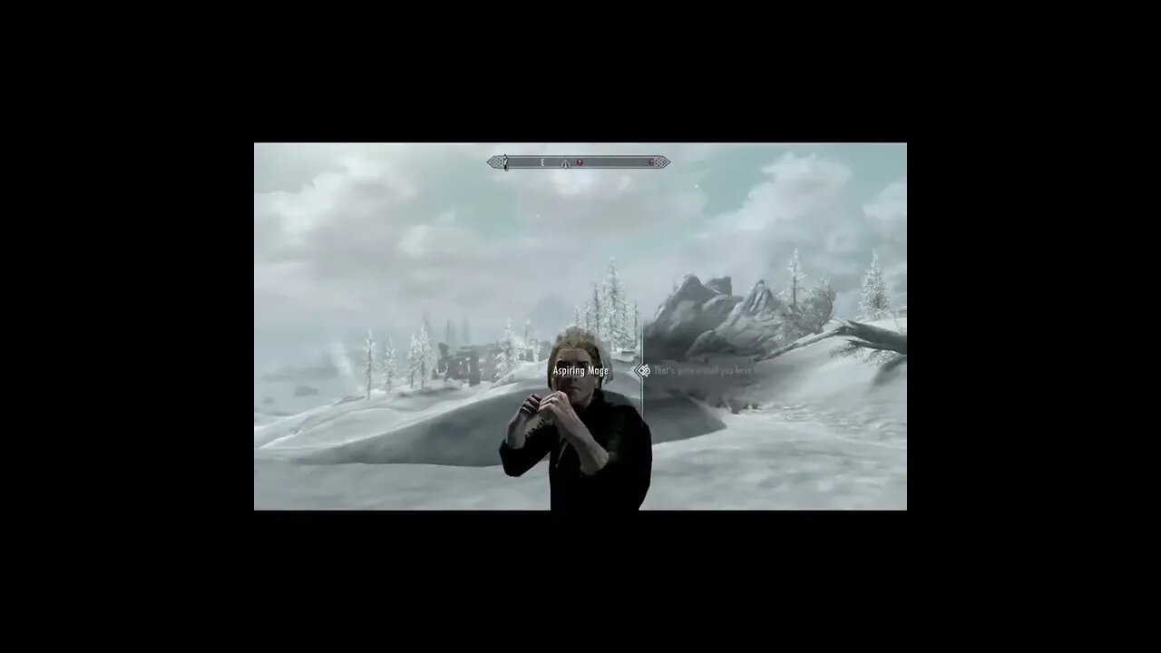 Skyrim - Troll Ambush