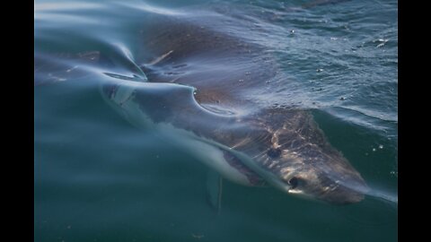 Look what i have spotted in the middle of sea.