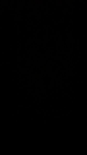 Fauci lied under oath