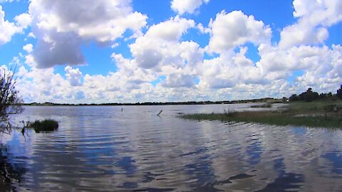 Kayak Fly Fishing Review of Lake Annie in Polk County, Florida