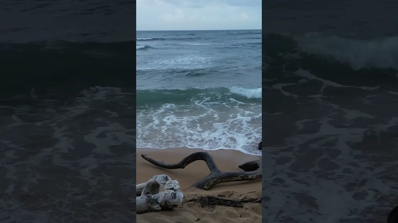Soothing ocean waves #kuiu
