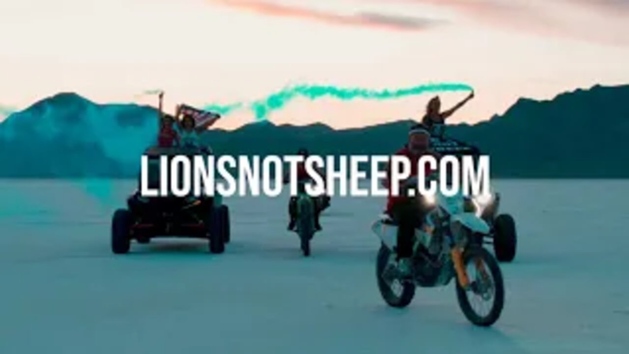 NEW LIONS NOT SHEEP GEAR