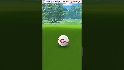 Pokémon GO-Shadow Geodude