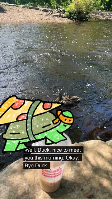 Did I say something wrong? 😂🦆 This duck is NOT having it in Mill River Park! #duckling #nature