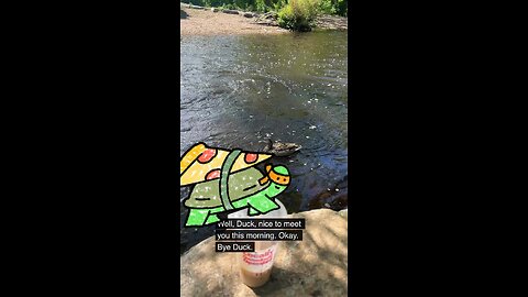 Did I say something wrong? 😂🦆 This duck is NOT having it in Mill River Park! #duckling #nature