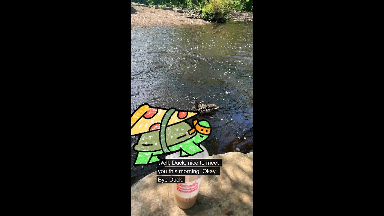 Did I say something wrong? 😂🦆 This duck is NOT having it in Mill River Park! #duckling #nature