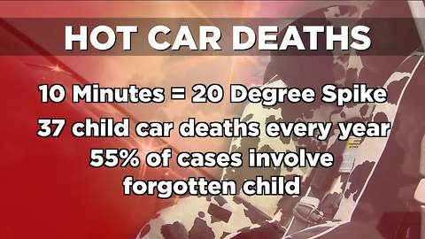 Ask Dr. Nandi: Hot cars can be deadly dangerous for children