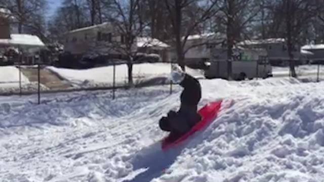 Sledding Fail: Boy Does Forward Flip Because His Sled Got Stuck On Slope