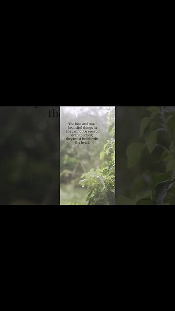 Unseen Beauty: Feeling the Best of Life with the Heart