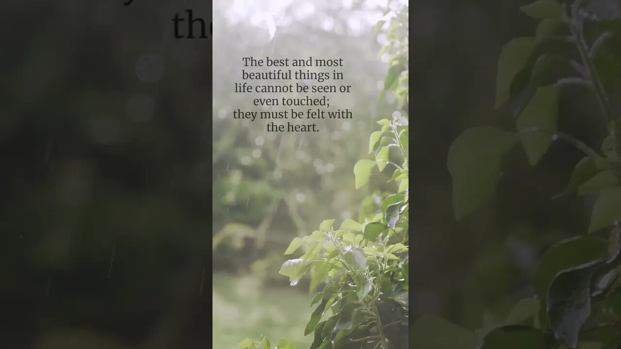 Unseen Beauty: Feeling the Best of Life with the Heart