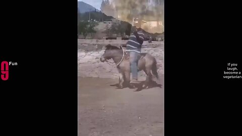 TRY NOT TO 😂😂 Best funny videos compilation