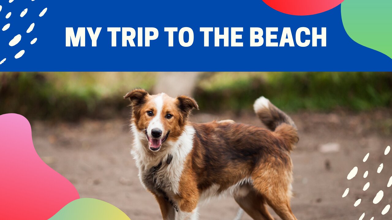 Puppy playing on the beach with his leash