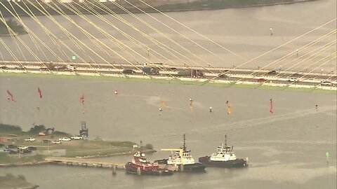 Texas bridge protesters