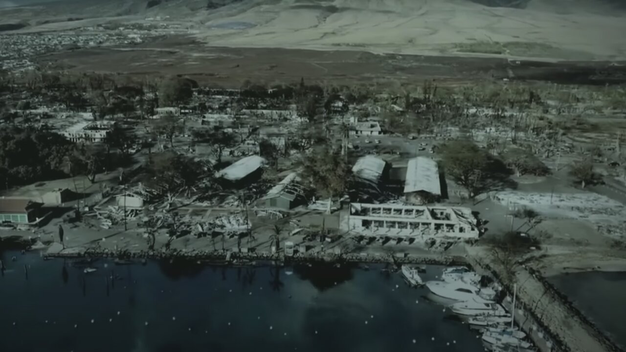 The Maui Fire Rabbit Hole