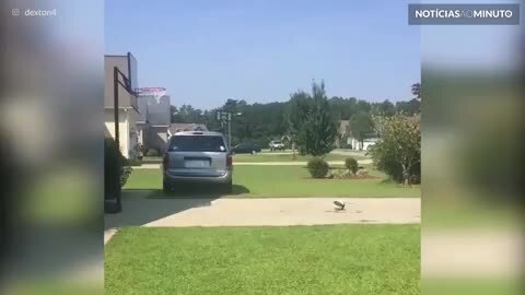 Jovem parece o Michael Jordan no filme “Space Jam”