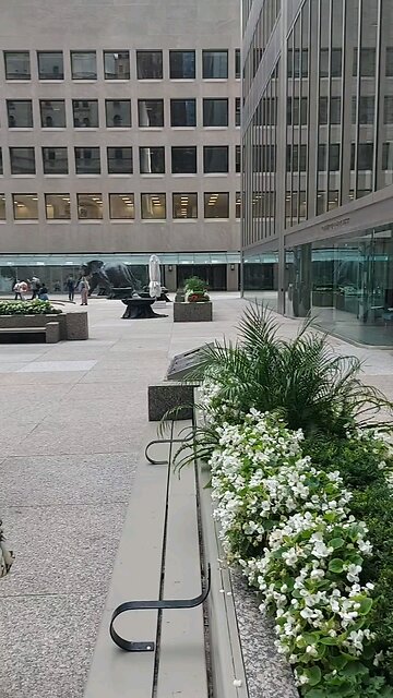 I want to see you win